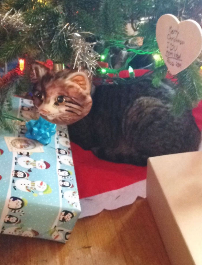 My Cat Lined Up Perfectly Behind This Ornament Of A Cat's Head
