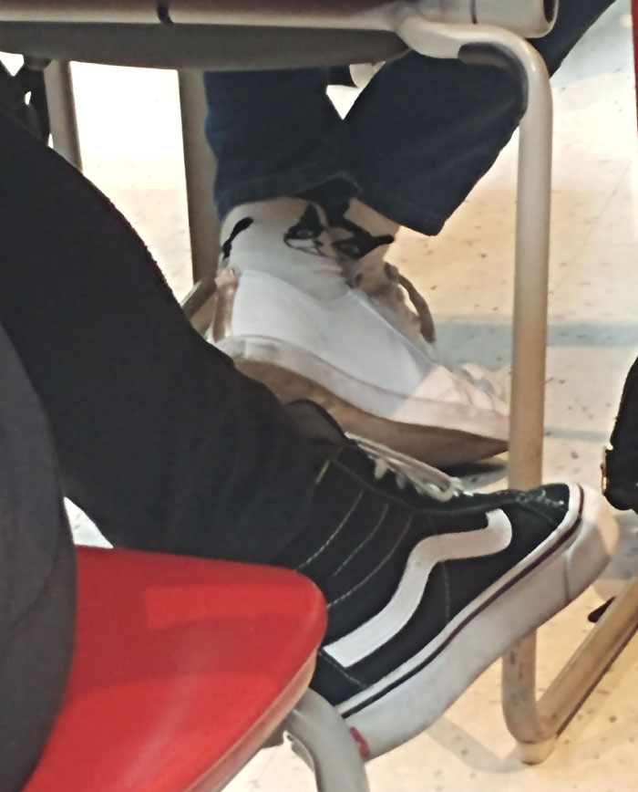 At My University This Girl Crossed Her Legs And The Dogs Face Lined Up Perfectly On Her Socks