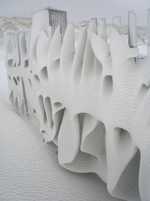 Art Only Nature Can Create. My Fence This Morning After A Snowy Night On Terschelling, The Netherlands