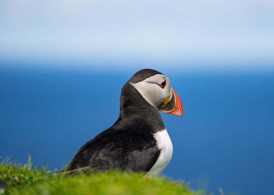 Vacation On The Faroe Islands