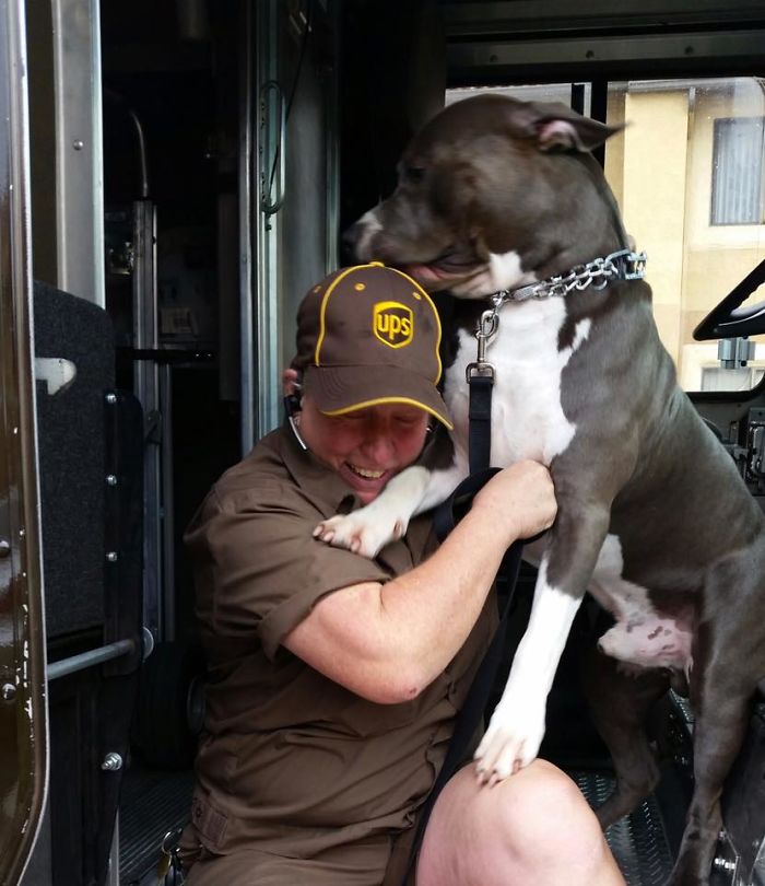This UPS Driver Just Adopted A Pit Bull On Her Work Route After The Death Of His Owner