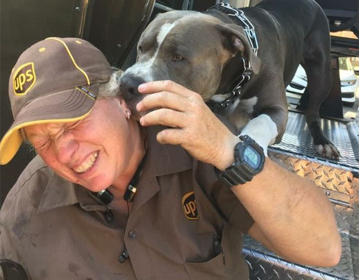 This UPS Driver Just Adopted A Pit Bull On Her Work Route After The Death Of His Owner