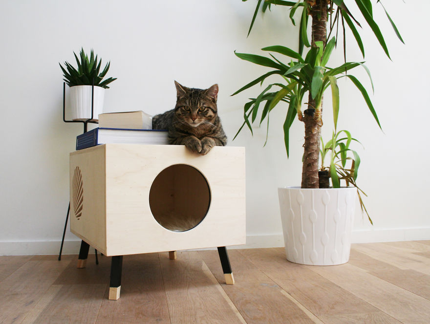 We Thought About Cat Furniture That Won't Cramp Your Home Interior