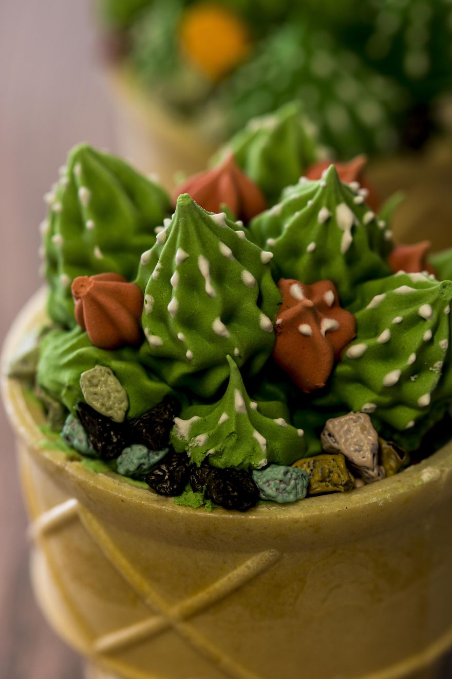 Meringue Cactus