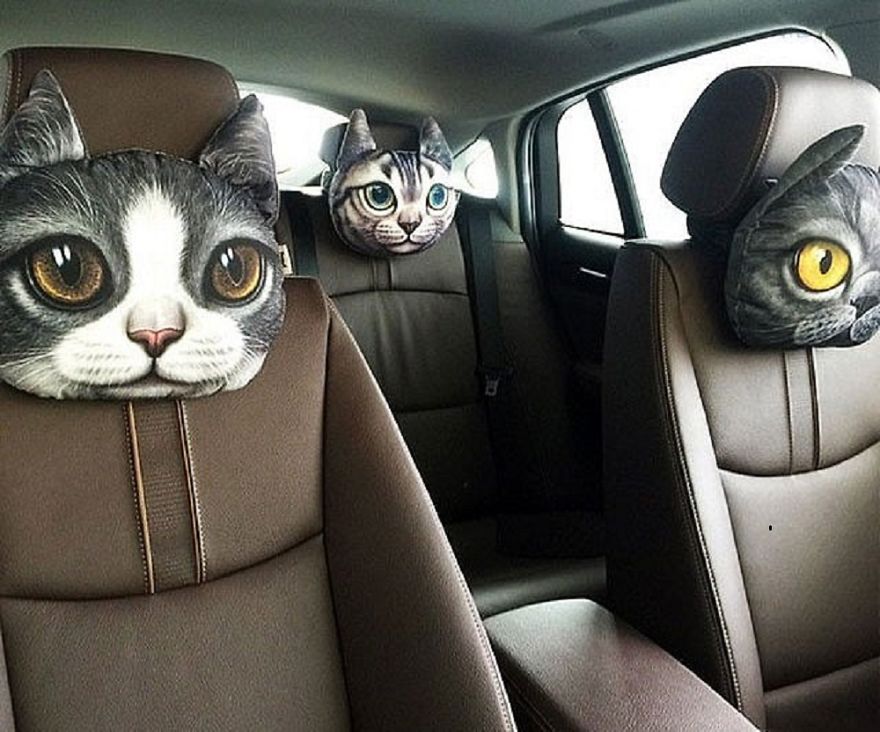 11 Hilarious Ways To Surround Yourself With Cats