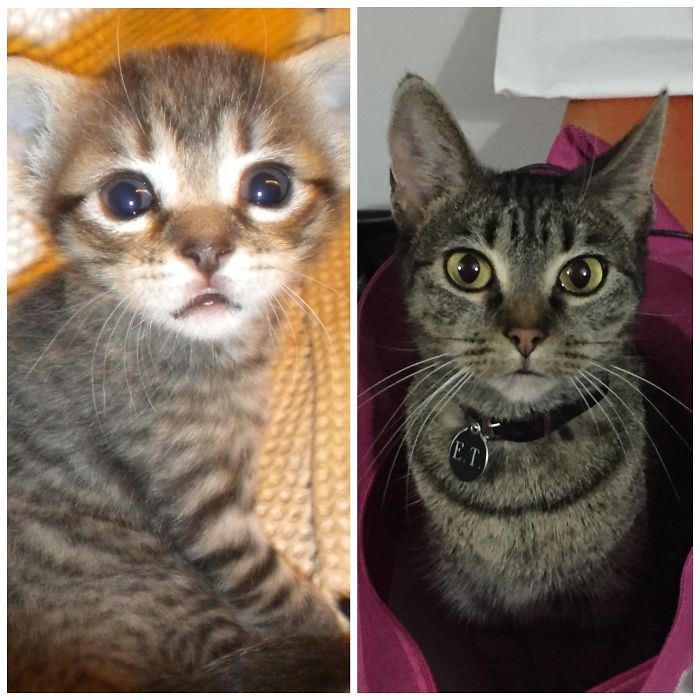 Et When She Was 4weeks In 2011 & Now 5 Years Later