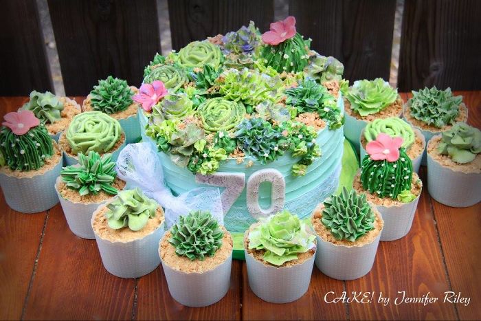 Succulent Cake And Cupcakes