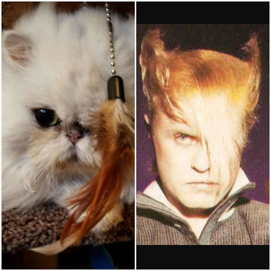 "Channeling" With Mr. Duff Mclovin Meowgi
