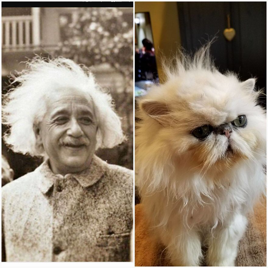 "Channeling" With Mr. Duff Mclovin Meowgi