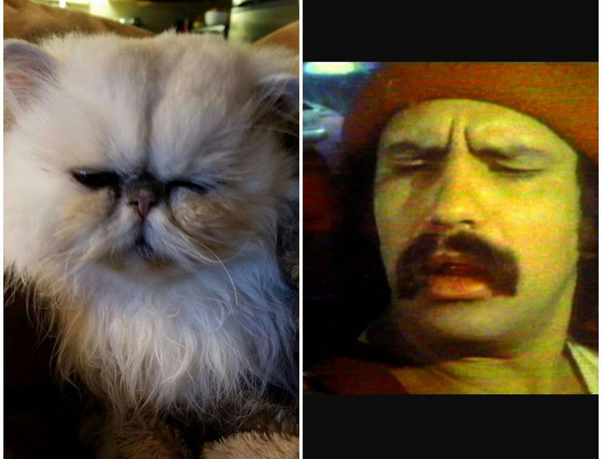 "Channeling" With Mr. Duff Mclovin Meowgi