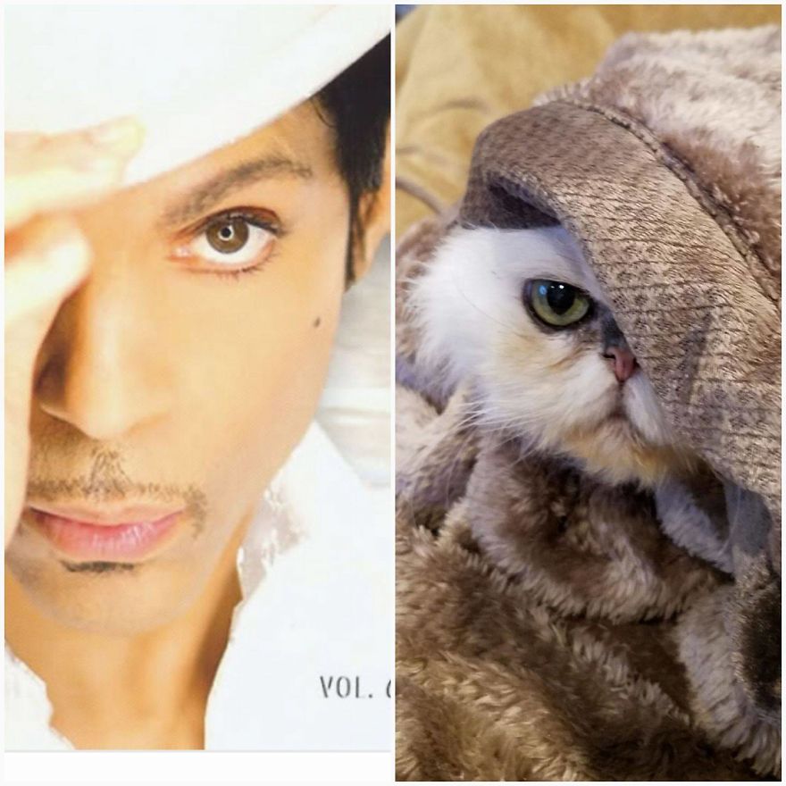 "Channeling" With Mr. Duff Mclovin Meowgi