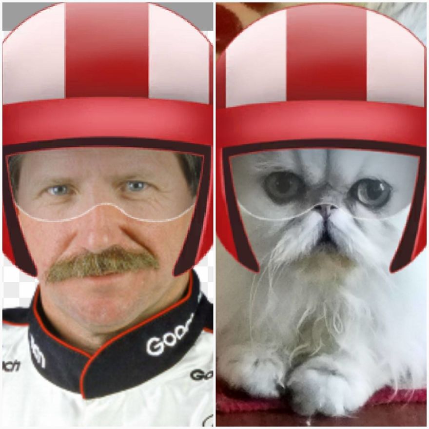 "Channeling" With Mr. Duff Mclovin Meowgi