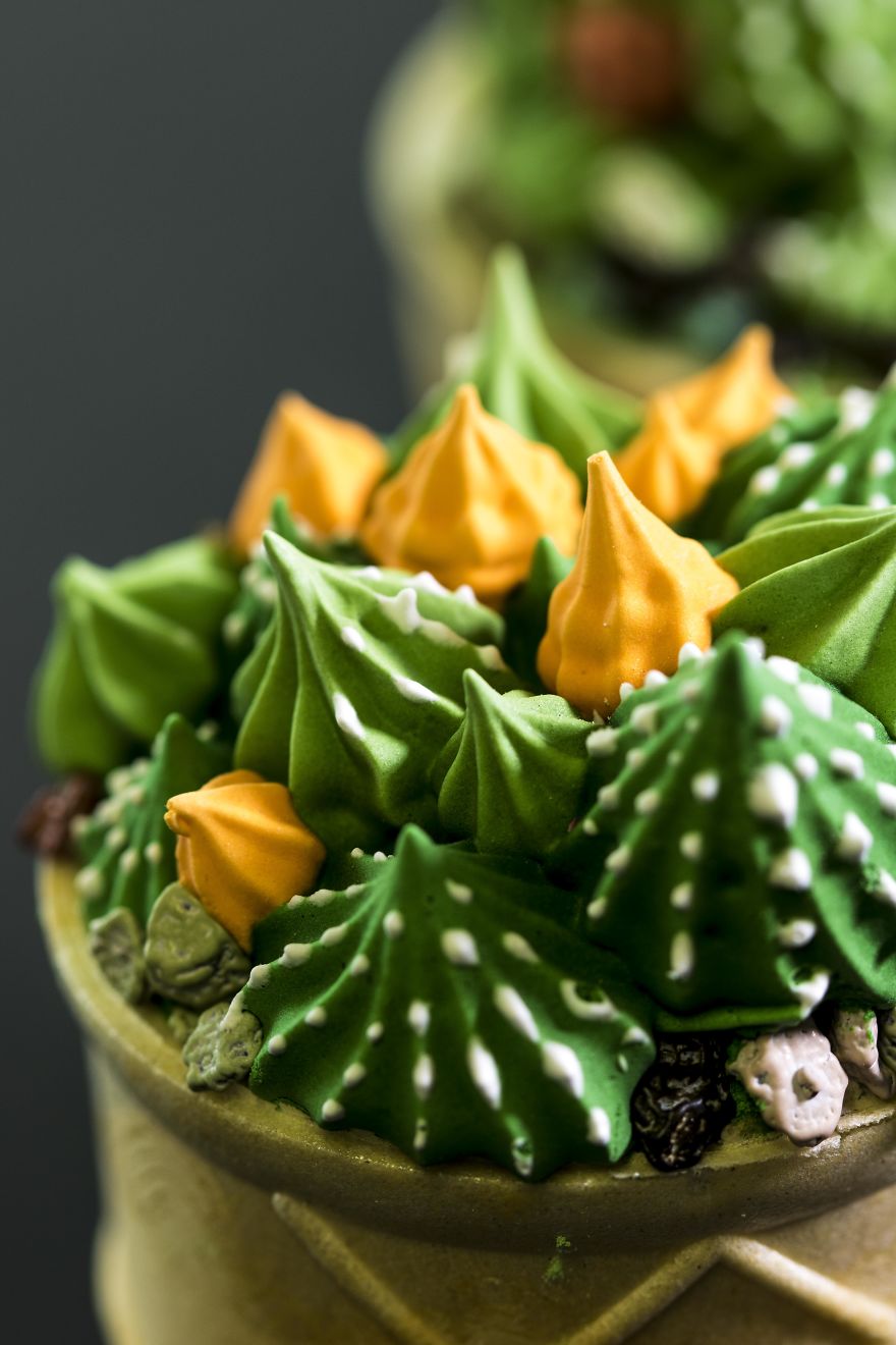 Meringue Cactus