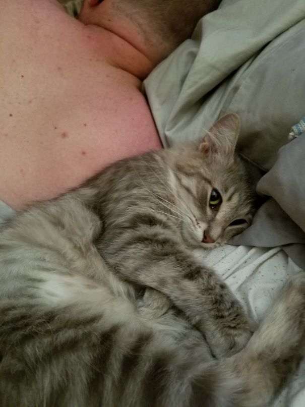 When I Get Up To Go To Work, My Babygirl Makes Sure My Husband Still Gets Cuddles.