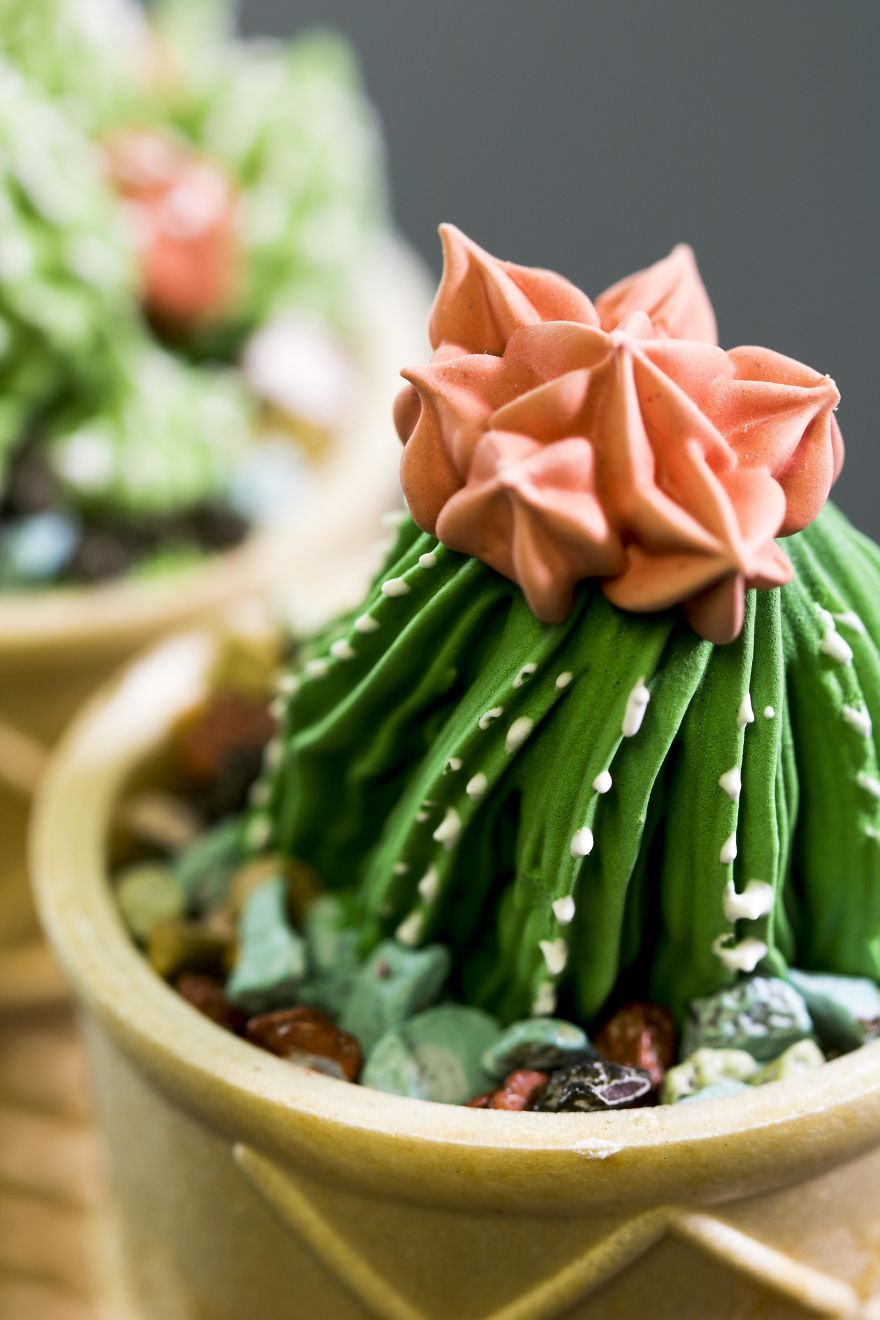 Meringue Cactus