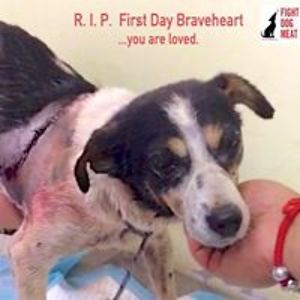 zipperkarting avatar