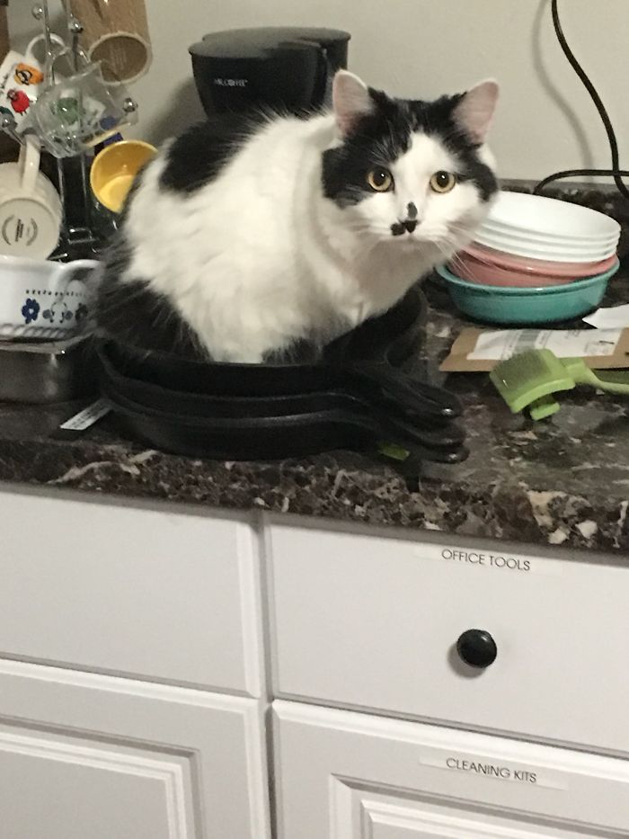 I Fits, Therefore I Sits