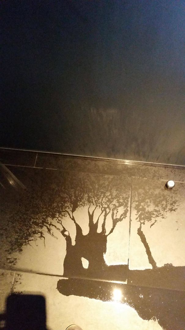 The Way This Water Spilled Looks Like A Tree