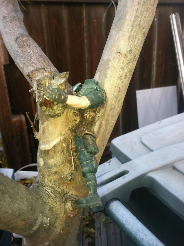 Found This At My Moms House - Tree (Now Dead) Grew Around A Lost Action Figure