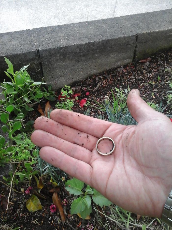 Encontré mi anillo de boda en el jardín tras perderlo hace 2 años