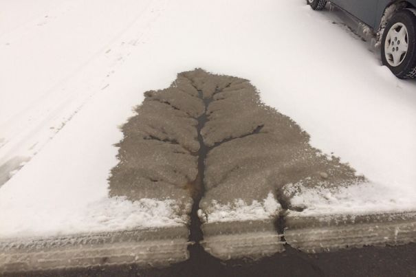 The Street Water Made A Tree In The Snow Of The Parking Lot