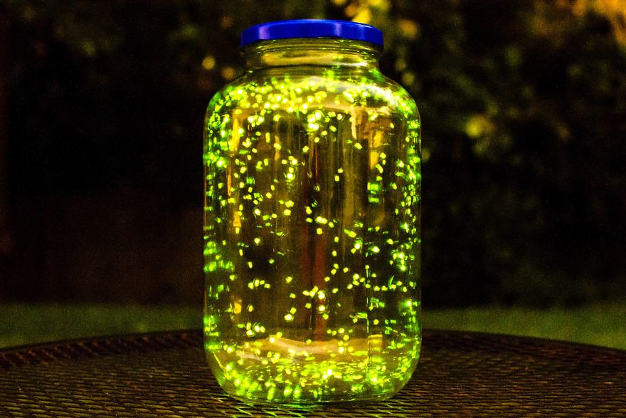 I Put Some Fireflies In A Jar And Did A Long Exposure For 3 Minutes. (Don't Worry I Let Them Go)