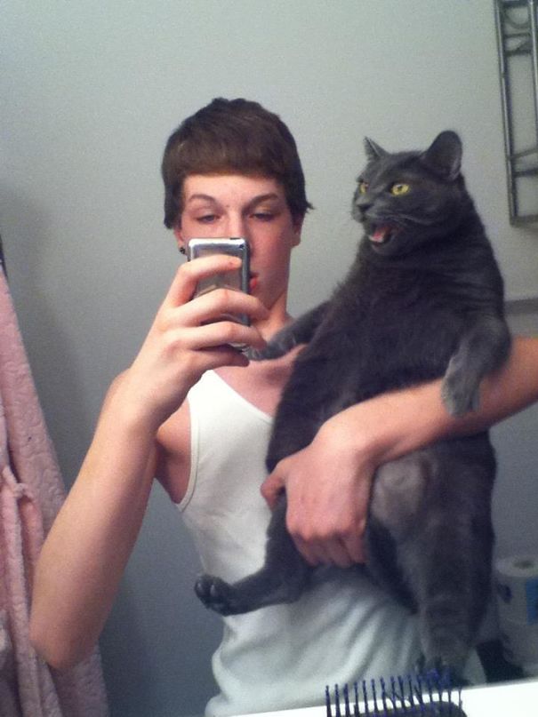 That's, Uh, Not How You Hold A Cat