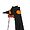 penguinzmassacre avatar