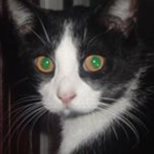 browncolleeng avatar