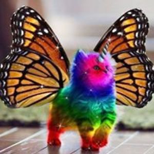 jennylynn_scarlethawk avatar