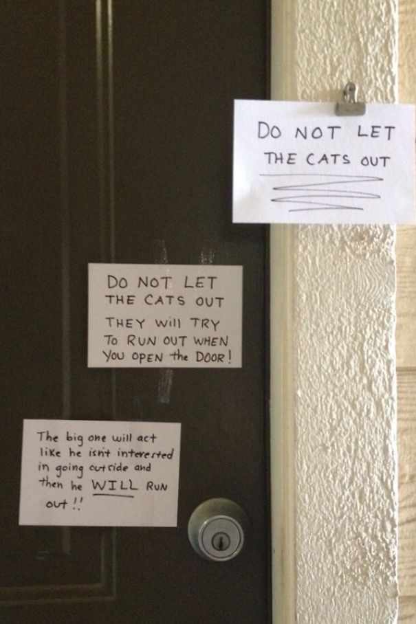 My Neighbor Left Some Notes For The Maintenance Guy