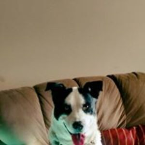 loveeagle130462 avatar