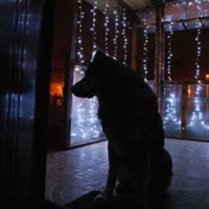 gelu_grigorescu avatar