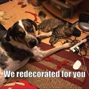 lil_twisted_kim avatar