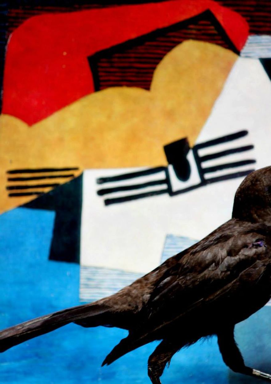 Artist Changes The Backdrop Of Her Birdhouse To Transform The Narrative Of How We View Art.