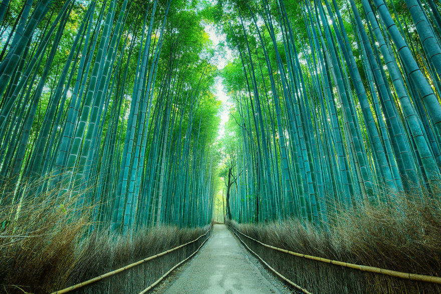 20 Images That Will Inspire You To Travel To Japan