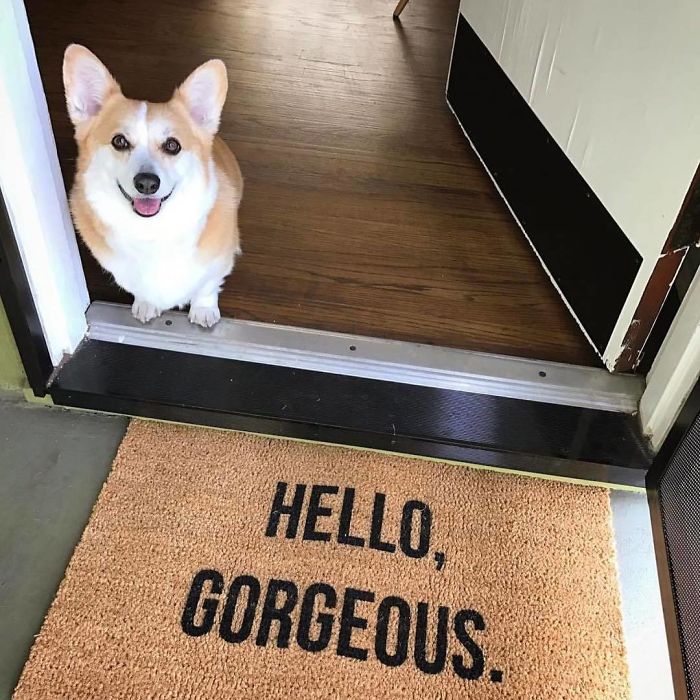 Oh, Hi Cutie👋🏻👋🏻👋🏻 Made This Custom Doormat For
