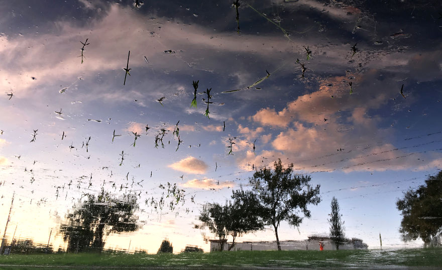 My Photography Captures Everyday Views Of Our World From Puddle Reflections