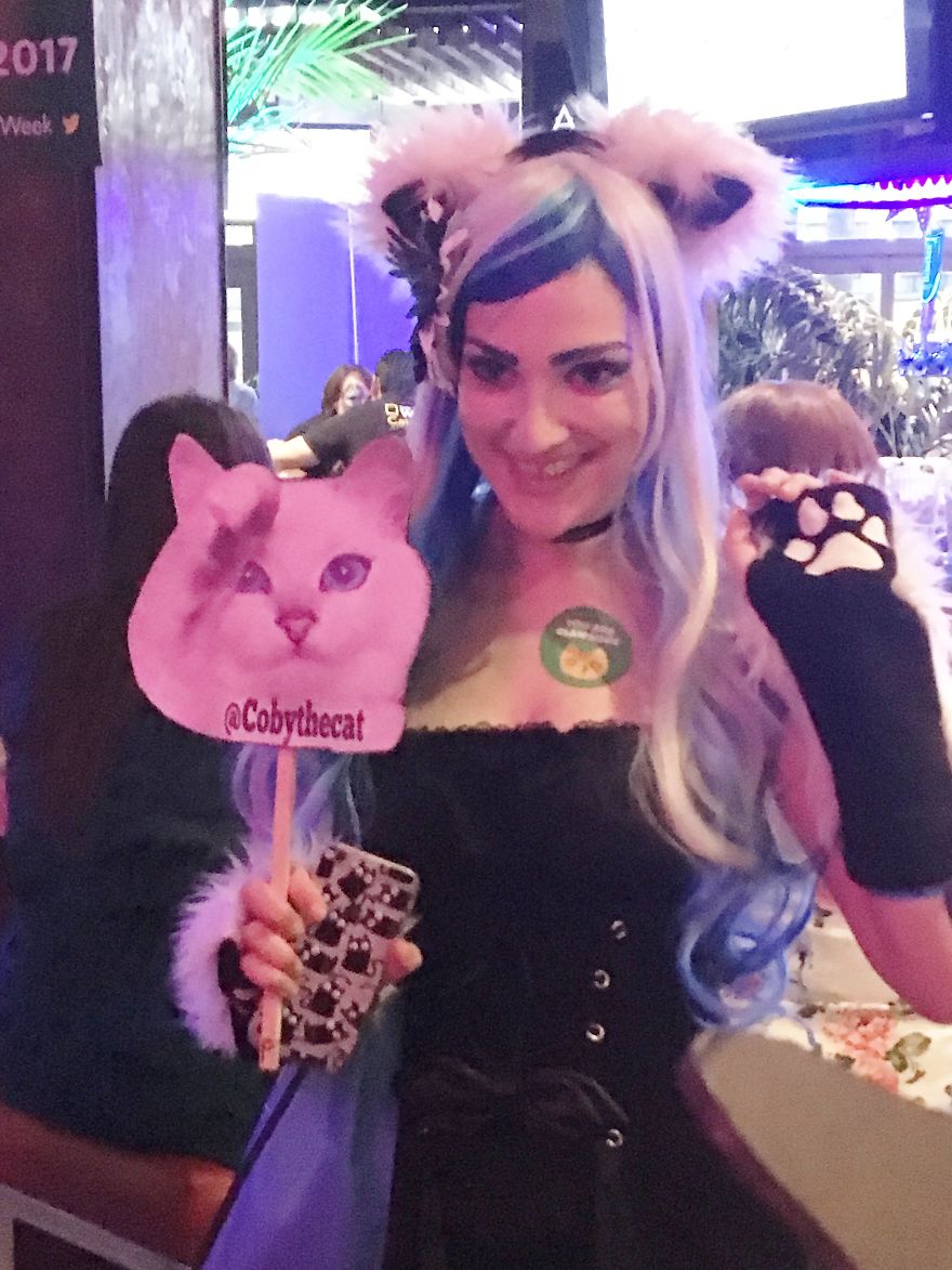 Cat Con Is A Thing, And You Definitely Want To Experience It!