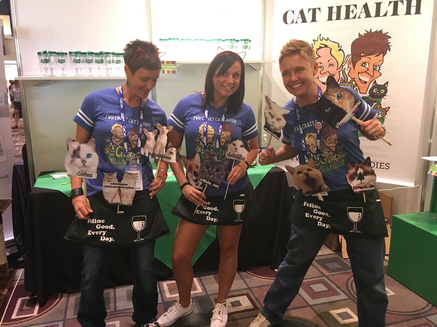 Cat Con Is A Thing, And You Definitely Want To Experience It!