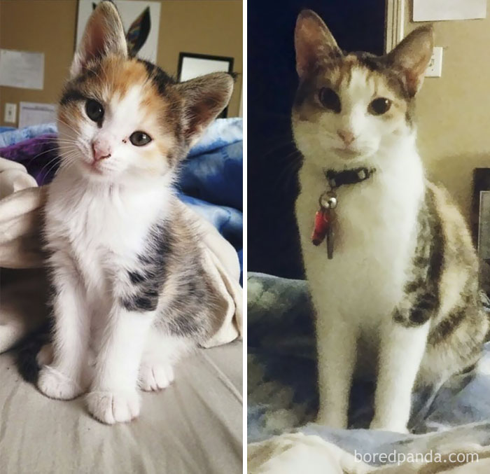 They Grow Up So Quickly
