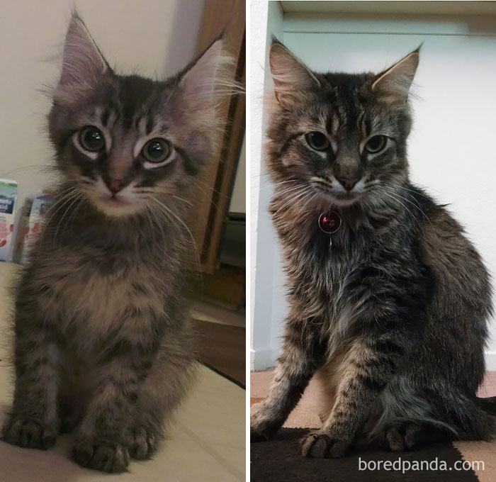 My Boy, Then And Now