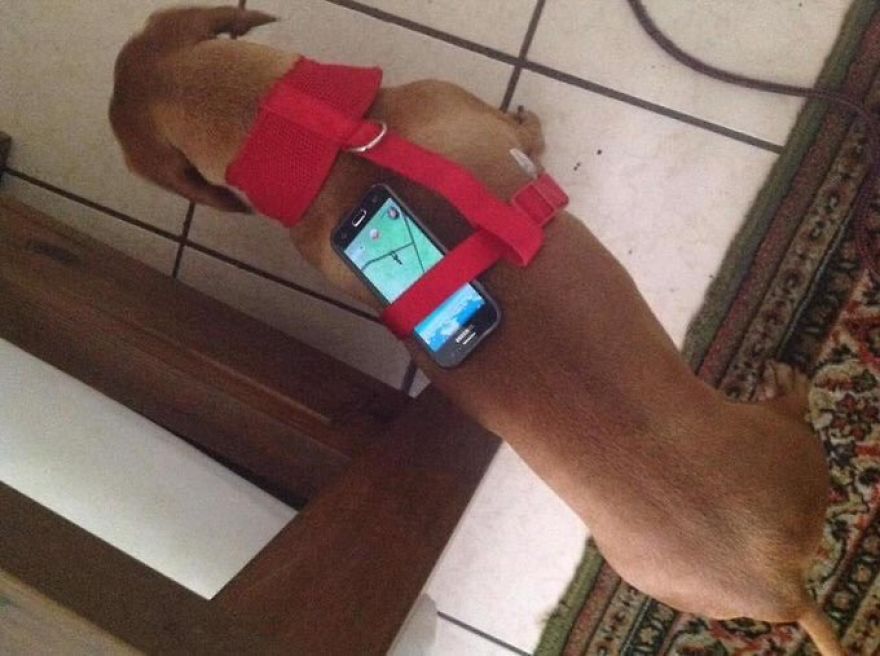 Hacks Used By Pokemon Go Players Will Make You Laugh Hacks Used By Pokemon Go Players Will Make You Laugh