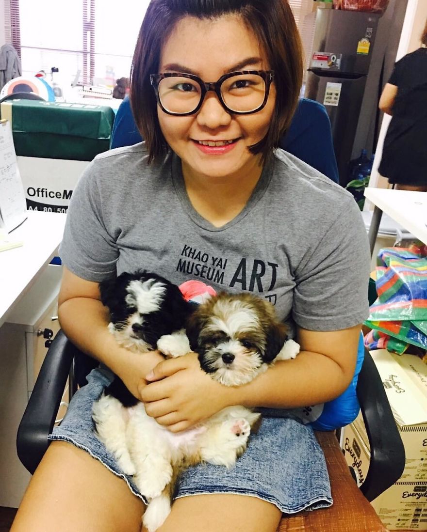 Company Allows Employees To Take Their Pets To Work Company Allows Employees To Take Their Pets To Work