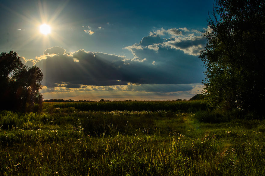 I Love Nature And Photography Is My Hobby