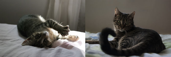 Clara, 4 Months Old, To Year And A Half Old :d