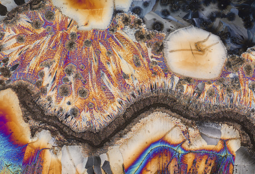 I've Spent The Past Year Photographing Crystalized Substances Through My Microscope