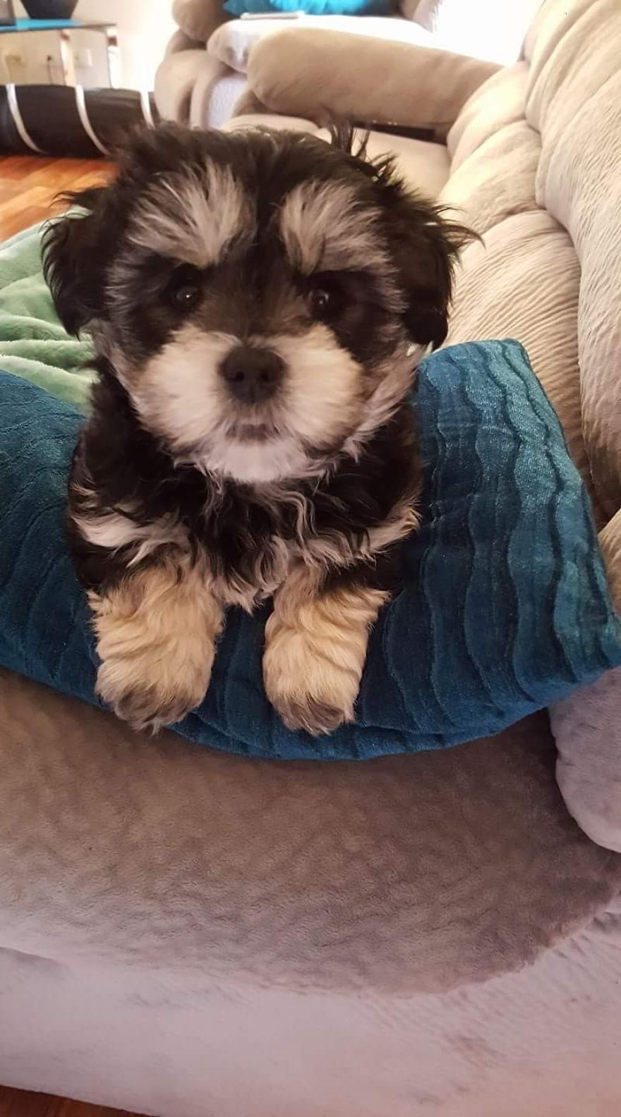 First Time Poster..