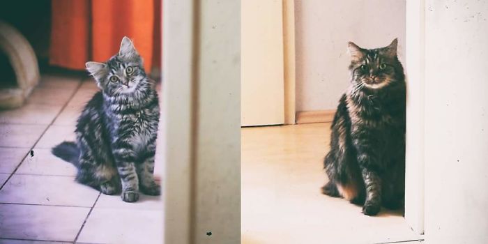Momo - A Few Months And Four Years Old