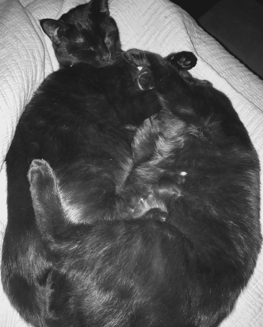 Sibling Love Sibling Love